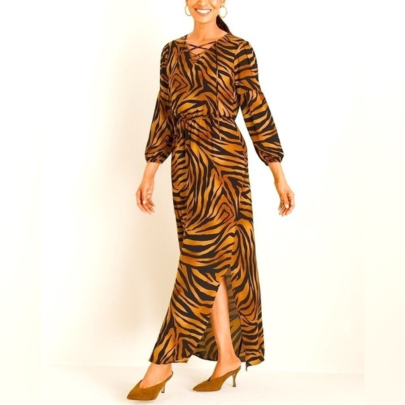 NWT. Chico’s Tiger Print Lace-up Long Sleeve Maxi Dress. US size 4. NWT. - Picture 1 of 11